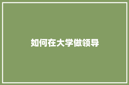 如何在大学做领导