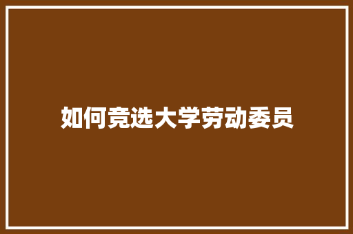 如何竞选大学劳动委员