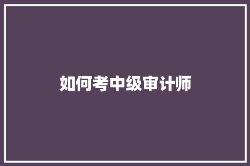 如何考中级审计师