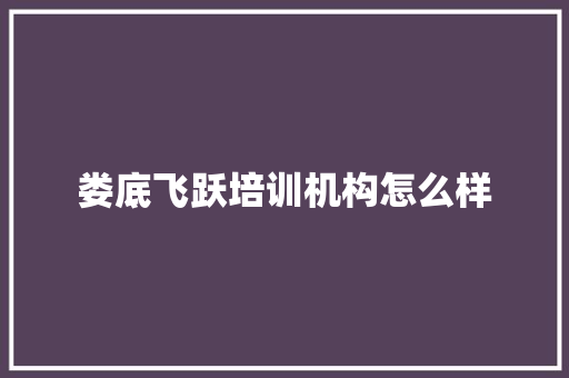 娄底飞跃培训机构怎么样
