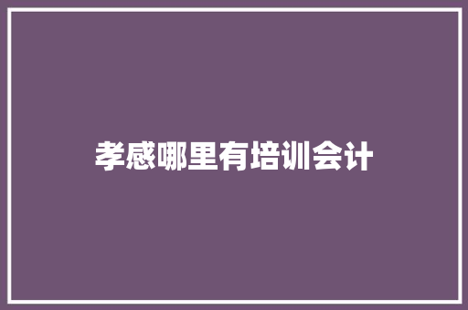 孝感哪里有培训会计