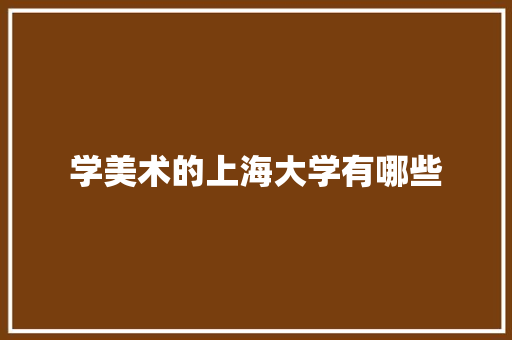学美术的上海大学有哪些