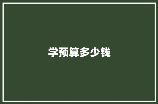学预算多少钱