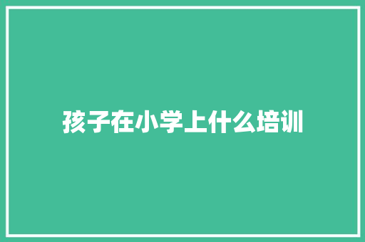 孩子在小学上什么培训
