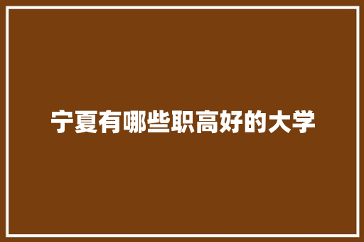 宁夏有哪些职高好的大学