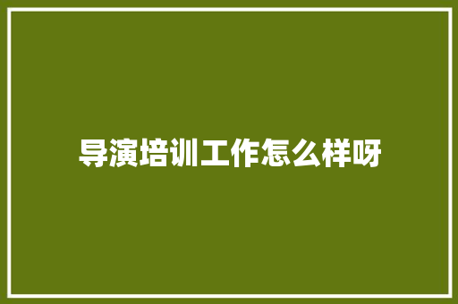 导演培训工作怎么样呀