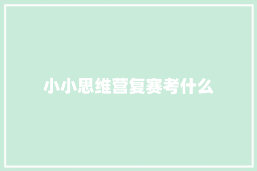 小小思维营复赛考什么