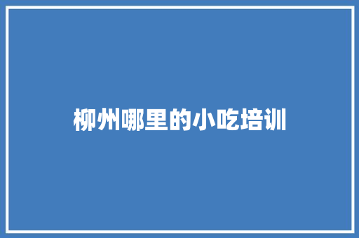 柳州哪里的小吃培训
