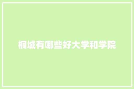 桐城有哪些好大学和学院