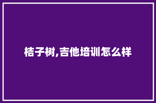 桔子树,吉他培训怎么样