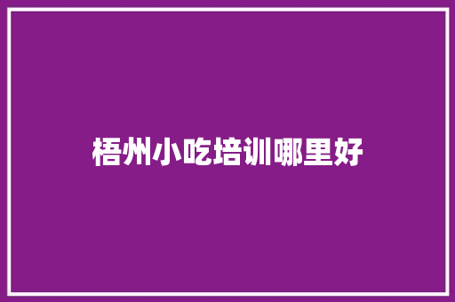 梧州小吃培训哪里好
