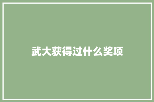 武大获得过什么奖项