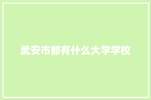 武安市都有什么大学学校