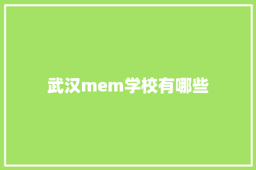 武汉mem学校有哪些