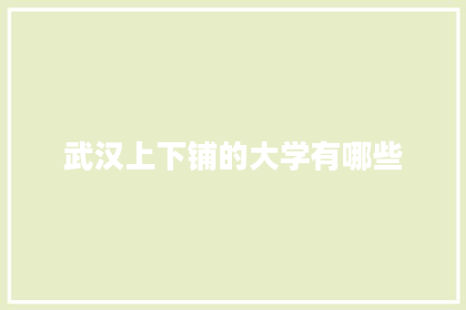 武汉上下铺的大学有哪些