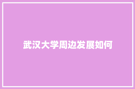 武汉大学周边发展如何