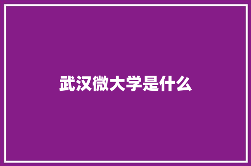 武汉微大学是什么 说明文范文