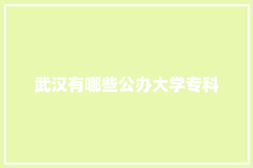 武汉有哪些公办大学专科
