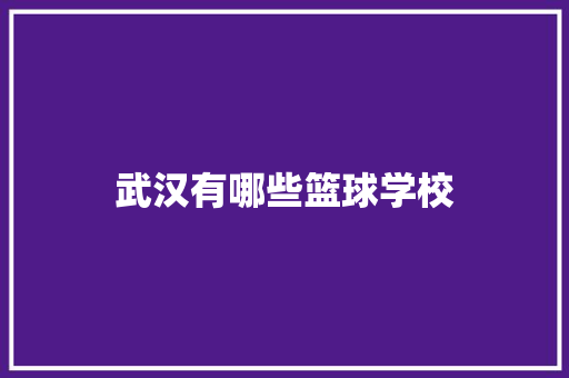 武汉有哪些篮球学校