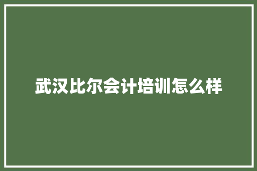 武汉比尔会计培训怎么样