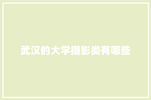 武汉的大学摄影类有哪些