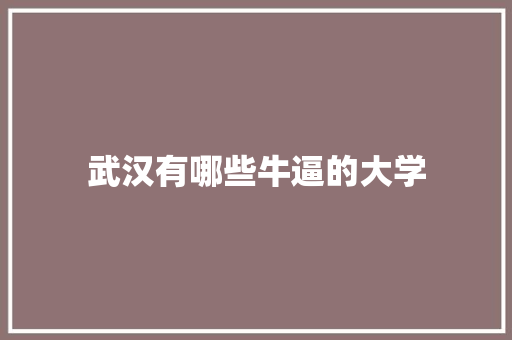 武汉有哪些牛逼的大学
