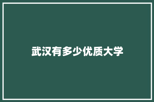 武汉有多少优质大学