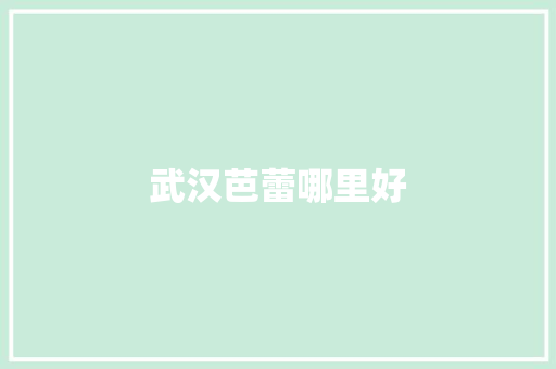 武汉芭蕾哪里好 简历范文