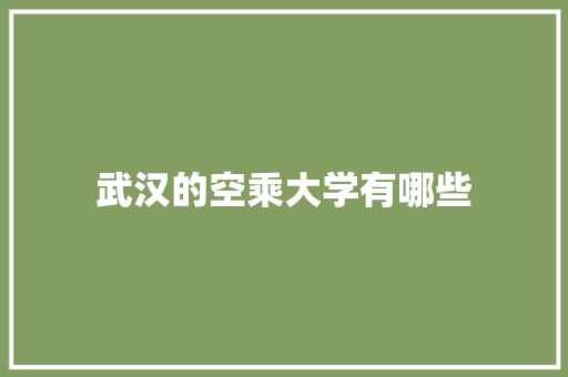 武汉的空乘大学有哪些
