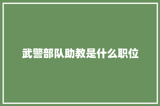 武警部队助教是什么职位 说明文范文