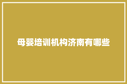 母婴培训机构济南有哪些