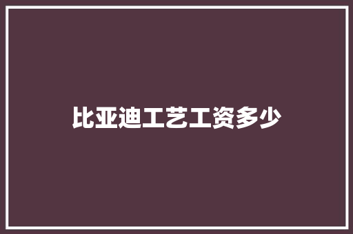 比亚迪工艺工资多少