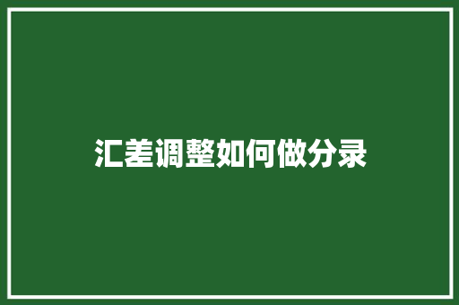 汇差调整如何做分录