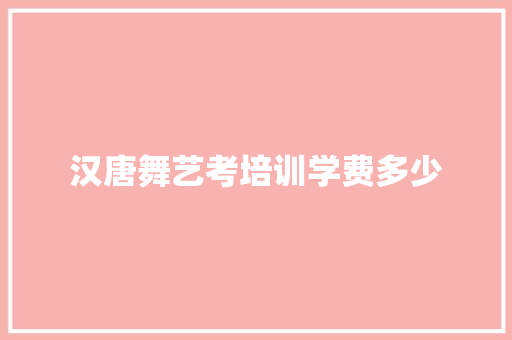 汉唐舞艺考培训学费多少