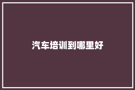 汽车培训到哪里好 散文范文