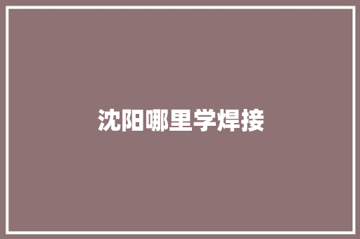 沈阳哪里学焊接