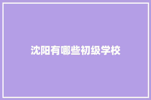 沈阳有哪些初级学校