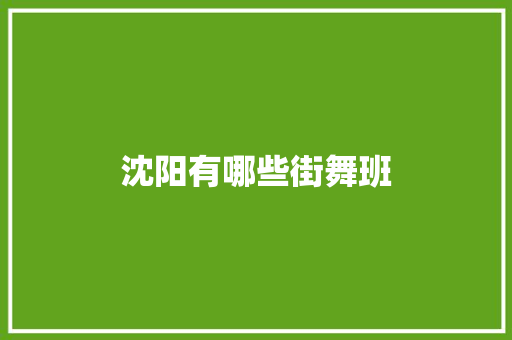 沈阳有哪些街舞班