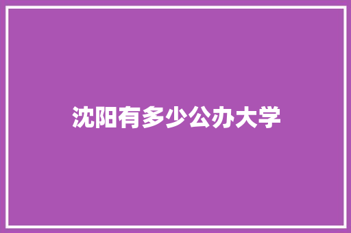 沈阳有多少公办大学