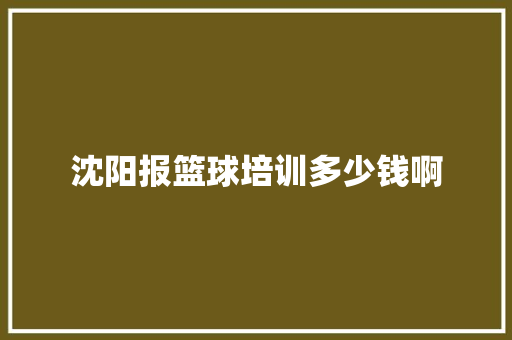 沈阳报篮球培训多少钱啊