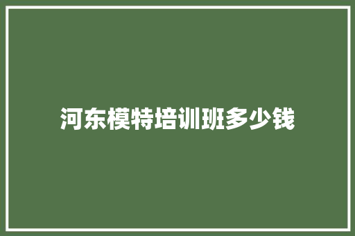 河东模特培训班多少钱