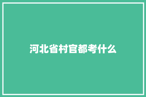 河北省村官都考什么