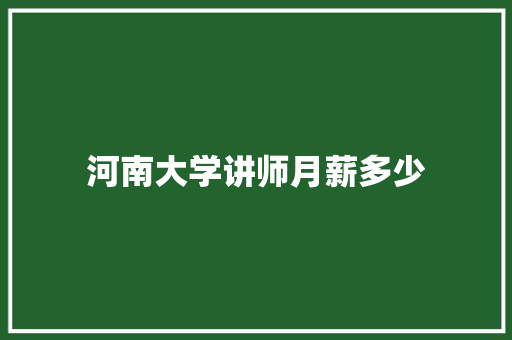 河南大学讲师月薪多少