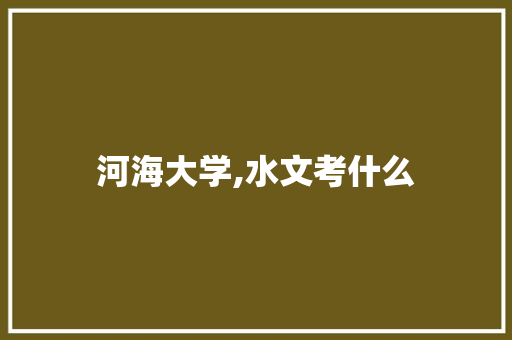 河海大学,水文考什么