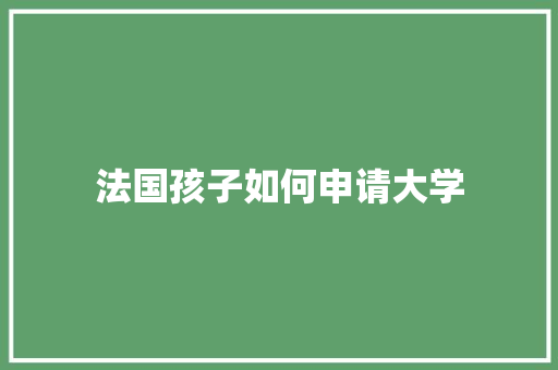 法国孩子如何申请大学