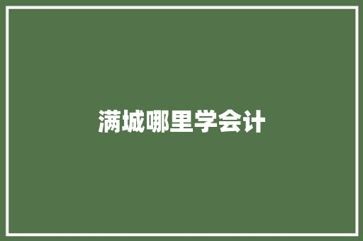 满城哪里学会计