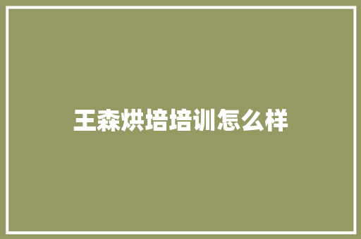 王森烘培培训怎么样