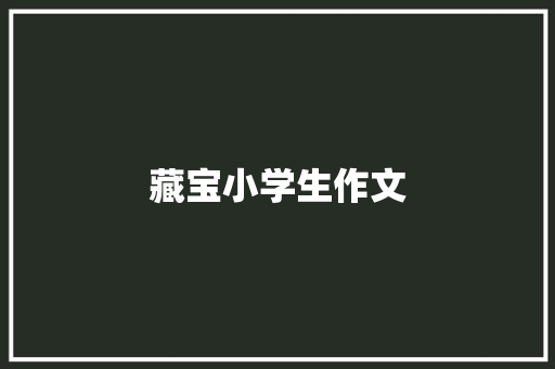 藏宝小学生作文 散文范文