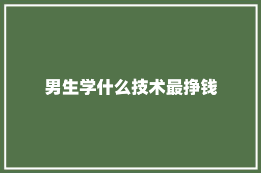 男生学什么技术最挣钱