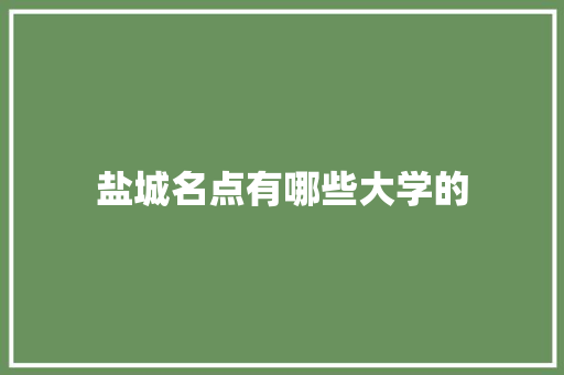 盐城名点有哪些大学的